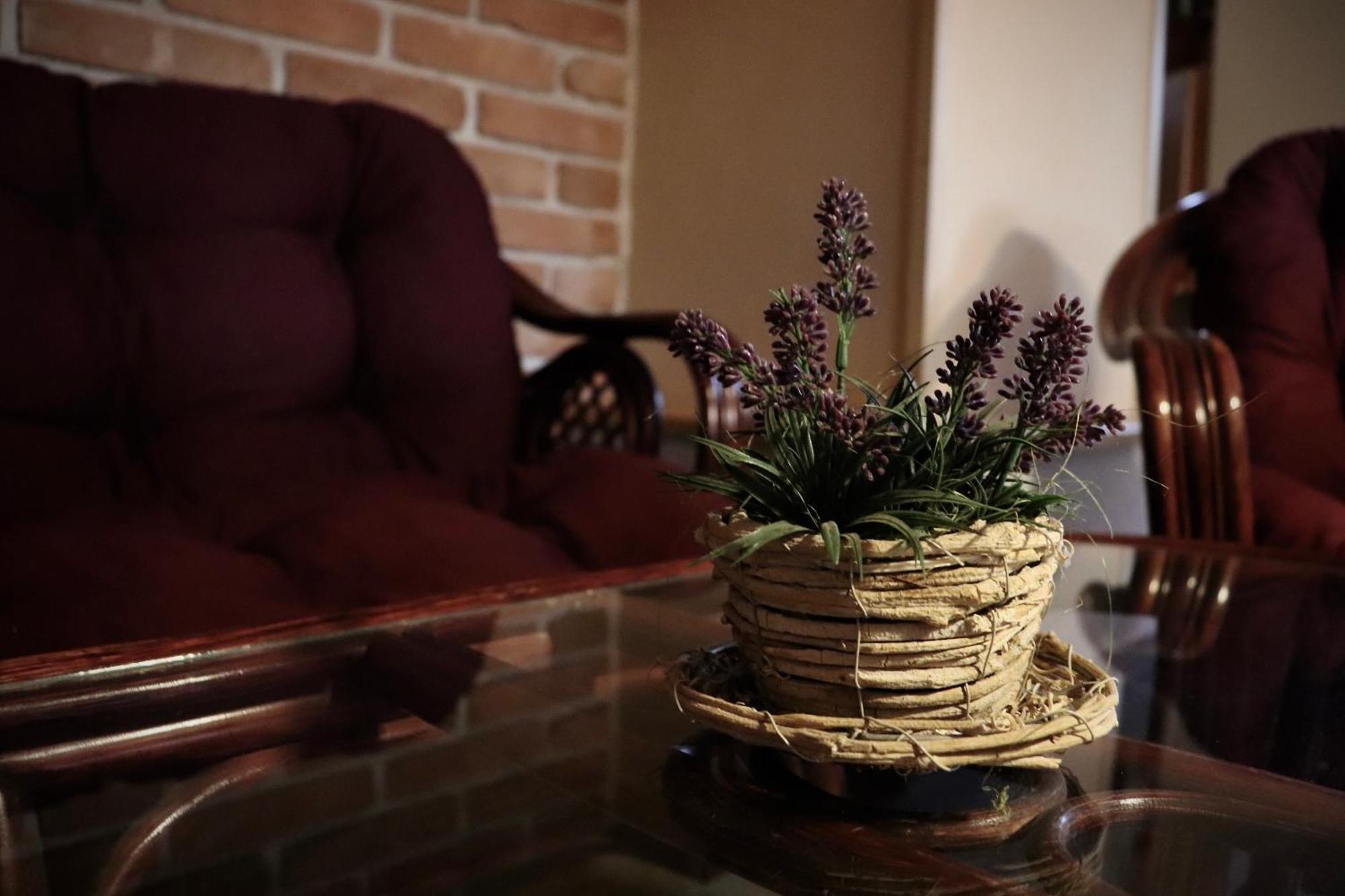 Pension Aura Špičák Železná Ruda Esterno foto