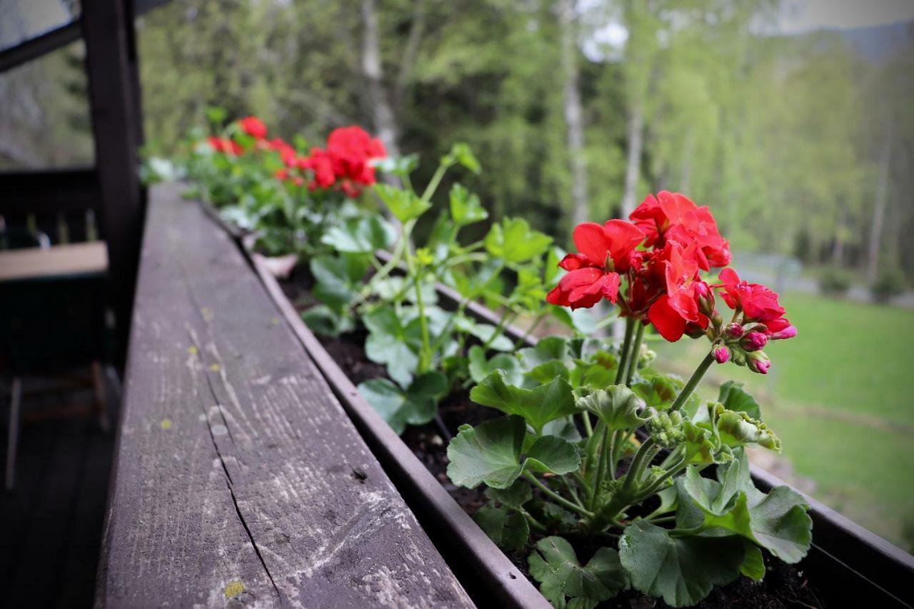 Pension Aura Špičák Železná Ruda Esterno foto